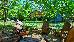 Thumbnail 60