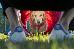 Thumbnail 97