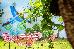 Thumbnail 34