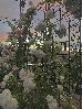Thumbnail 28