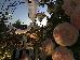Thumbnail 29