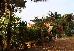 Thumbnail 22