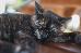 Thumbnail 90