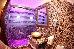 Thumbnail 20