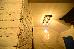 Thumbnail 29