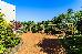 Thumbnail 24