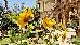 Thumbnail 25