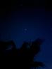 Thumbnail 52