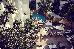 Thumbnail 29