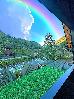 Thumbnail 65