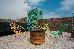 Thumbnail 71