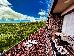 Thumbnail 26