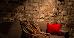 Thumbnail 14