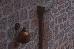 Thumbnail 34
