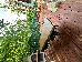 Thumbnail 27
