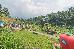 Thumbnail 32