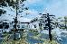 Thumbnail 36