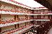 Thumbnail 24