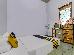 Thumbnail 35