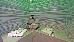 Thumbnail 26
