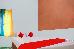 Thumbnail 18