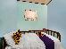 Thumbnail 18