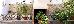 Thumbnail 25