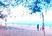 Thumbnail 60