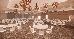 Thumbnail 82