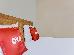 Thumbnail 21