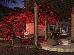Thumbnail 28