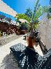 Thumbnail 123