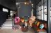 Thumbnail 16