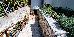 Thumbnail 35