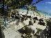 Thumbnail 157