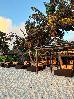 Thumbnail 147