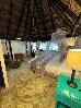 Thumbnail 48