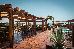 Thumbnail 19