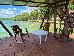 Thumbnail 40