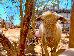 Thumbnail 22
