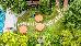 Thumbnail 24