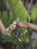 Thumbnail 54