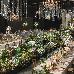 Thumbnail 186