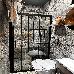 Thumbnail 57