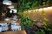 Thumbnail 27