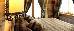 Thumbnail 28