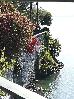 Thumbnail 16