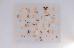 Thumbnail 66