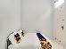 Thumbnail 15