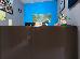 Thumbnail 13